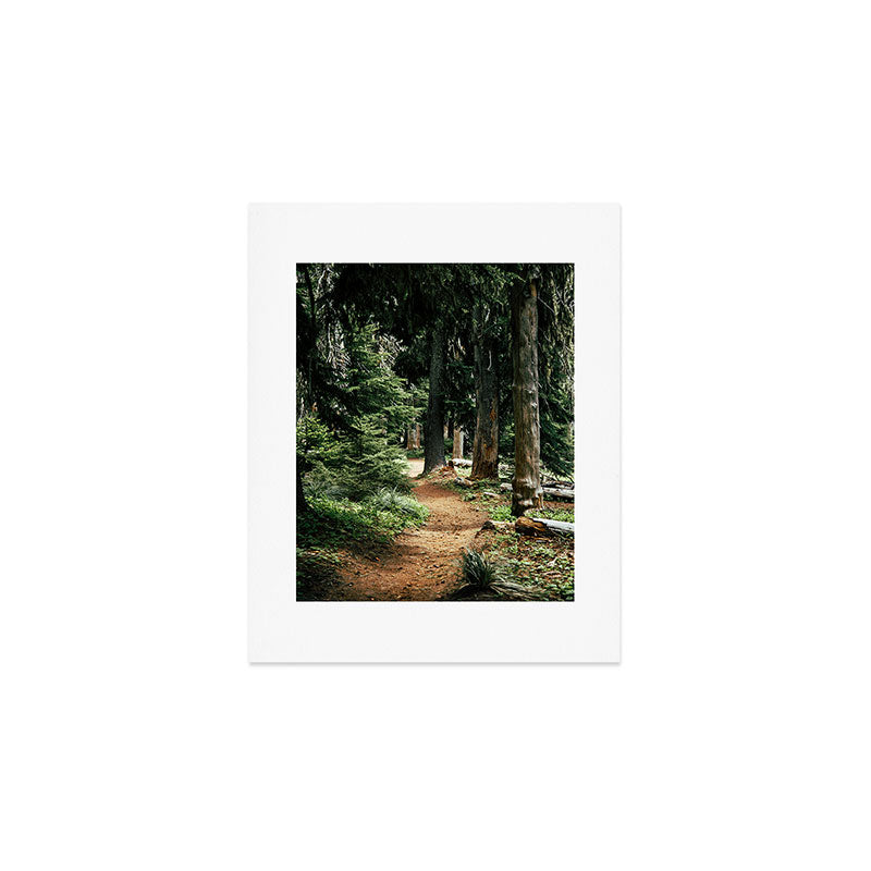 Forest Trail Art Print Gallery Image 1