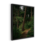 Forest Trail II Framed Canvas Print Gallery Image 2