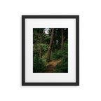 Forest Trail II Framed Art Print Gallery Image 5