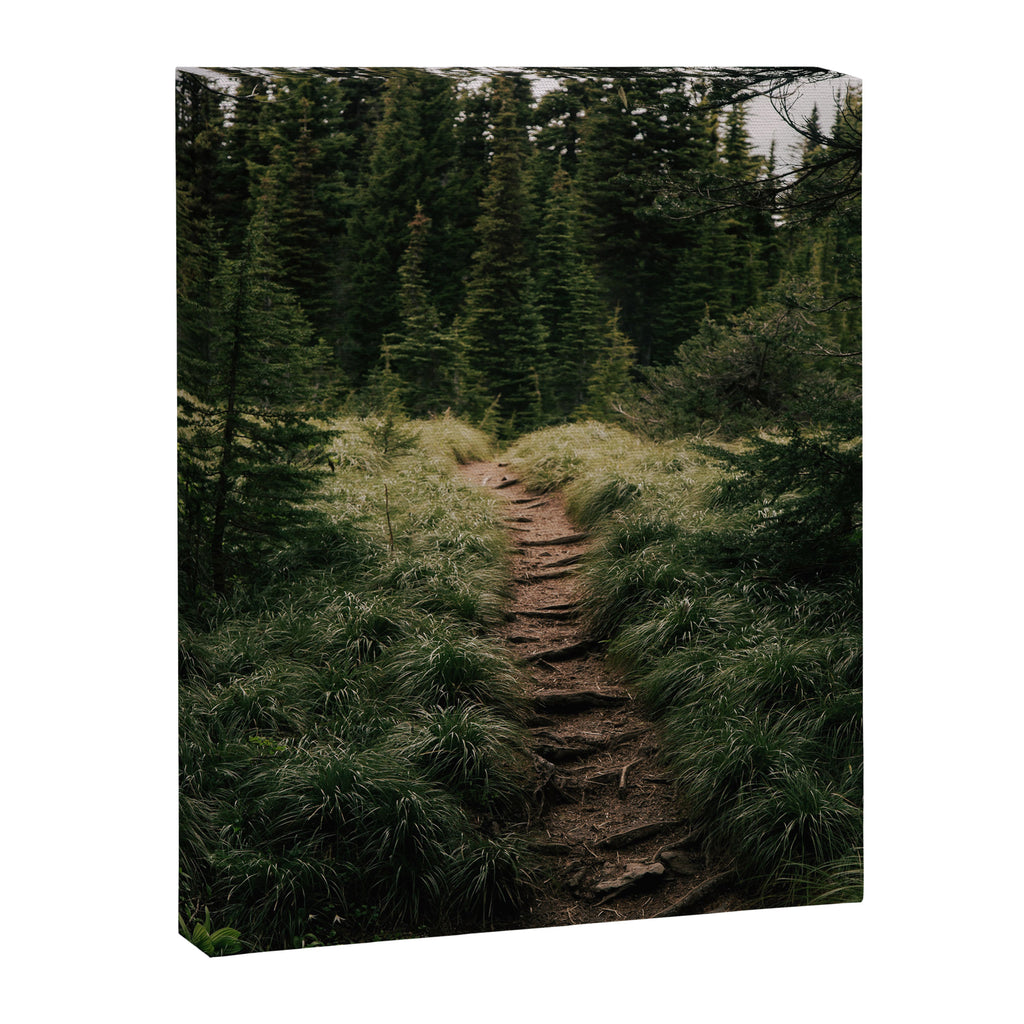 Forest Trail III Canvas Print Gallery Image 6