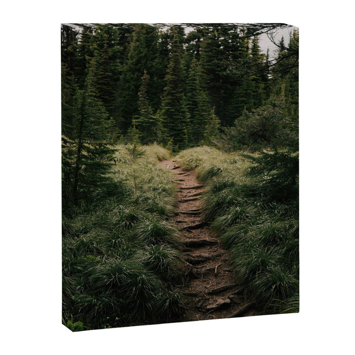 Forest Trail III Canvas Print Gallery Image 1