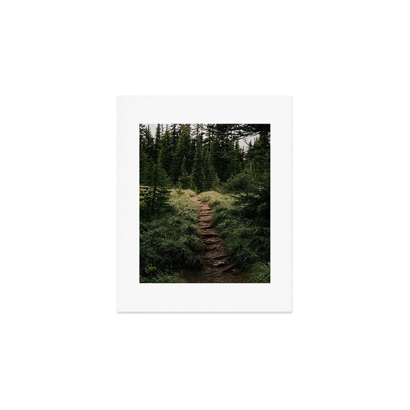 Forest Trail III Art Print Gallery Image 1