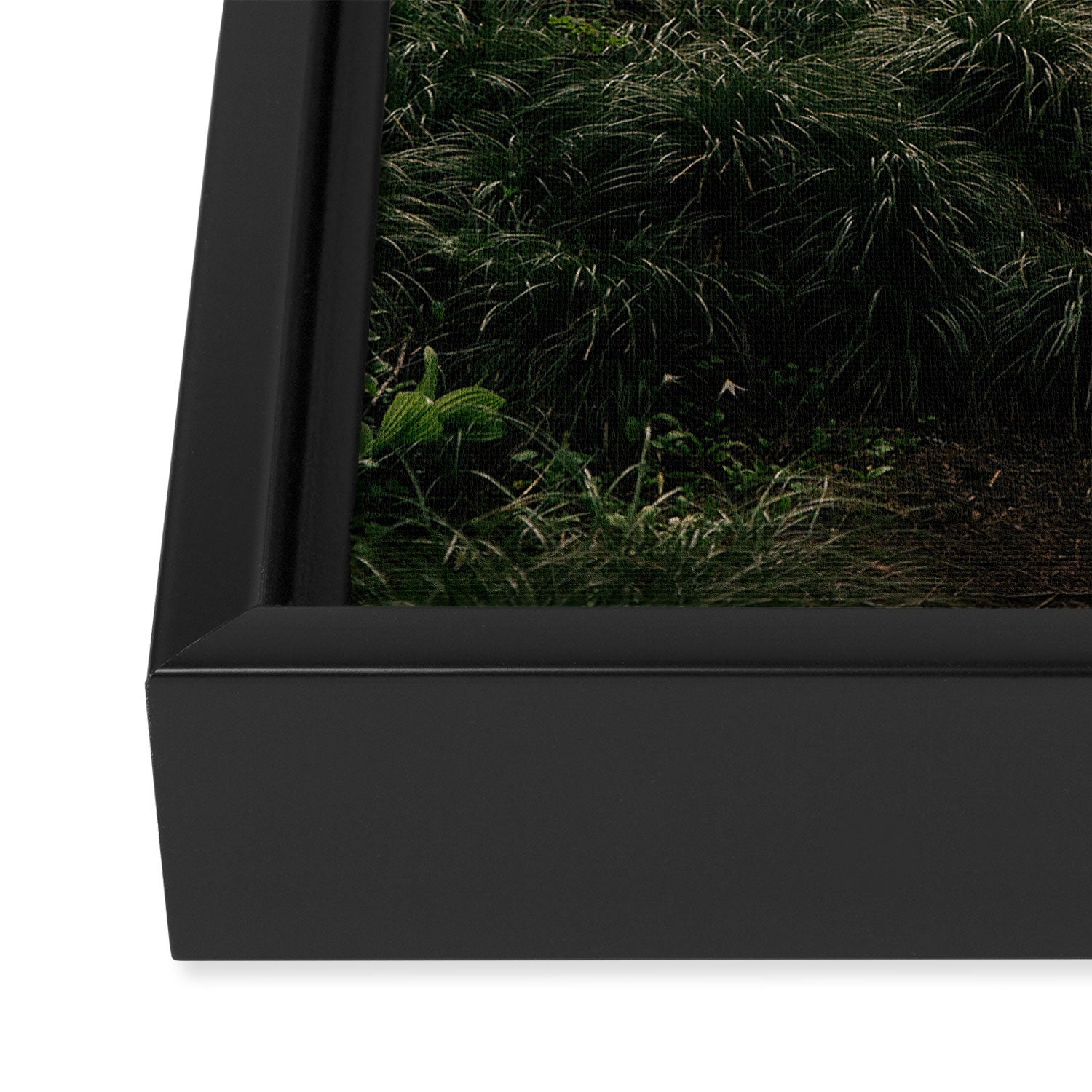 Forest Trail III Framed Canvas Print Gallery Image 3