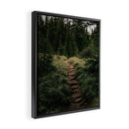 Forest Trail III Framed Canvas Print Gallery Image 2