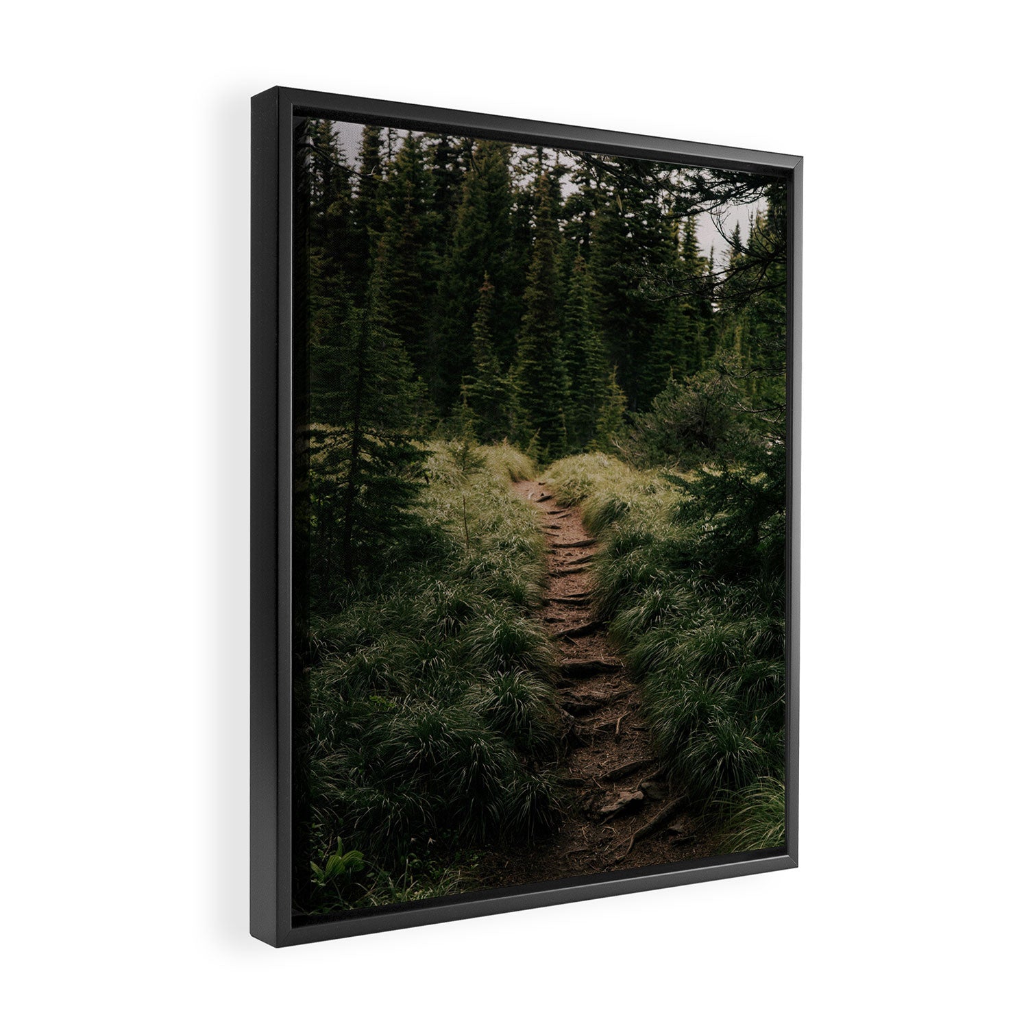 Forest Trail III Framed Canvas Print Gallery Image 2