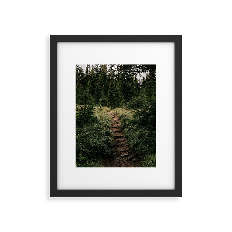 Forest Trail III Framed Art Print Gallery Image 5