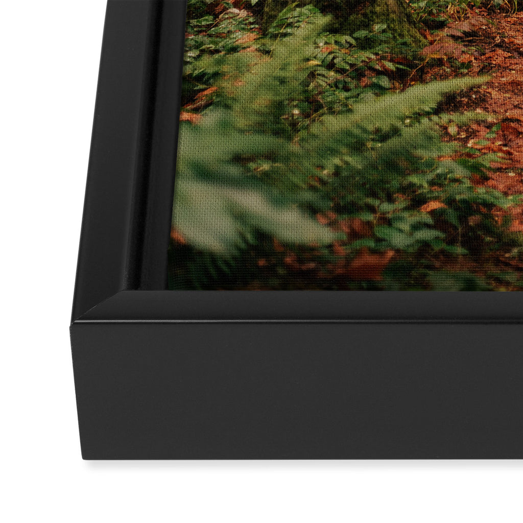 Forest Trail IV Framed Canvas Print Gallery Image 3