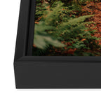 Forest Trail IV Framed Canvas Print Gallery Image 3