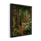 Forest Trail IV Framed Canvas Print Gallery Image 2