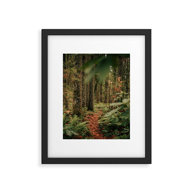 Forest Trail IV Framed Art Print Gallery Image 5