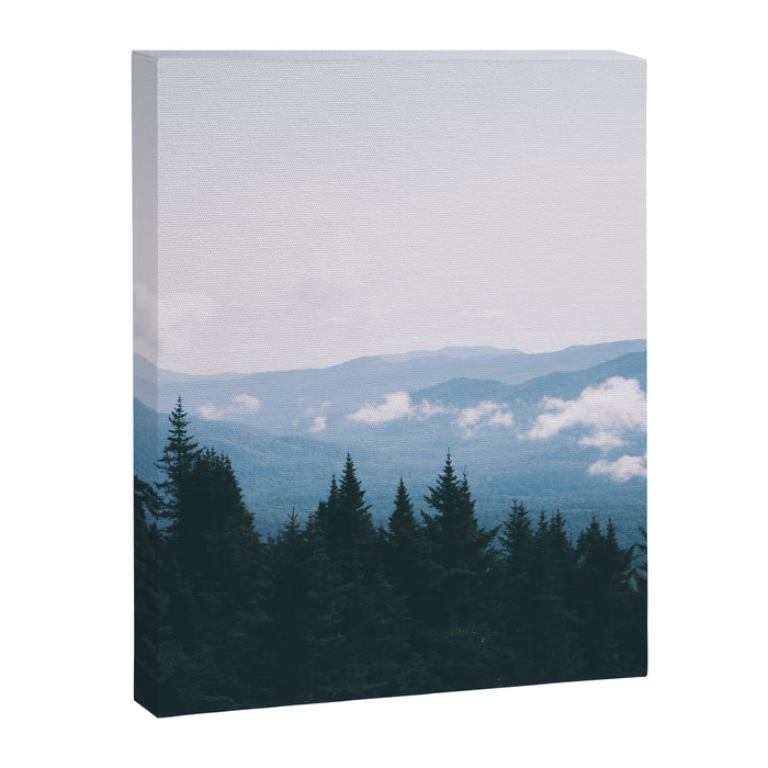 Forest VII Canvas Print Gallery Image 1