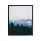 Forest VII Framed Canvas Print Gallery Image 6