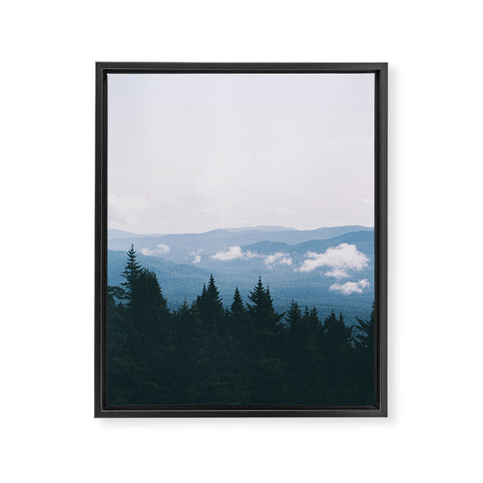 Forest VII Framed Canvas Print Gallery Image 1