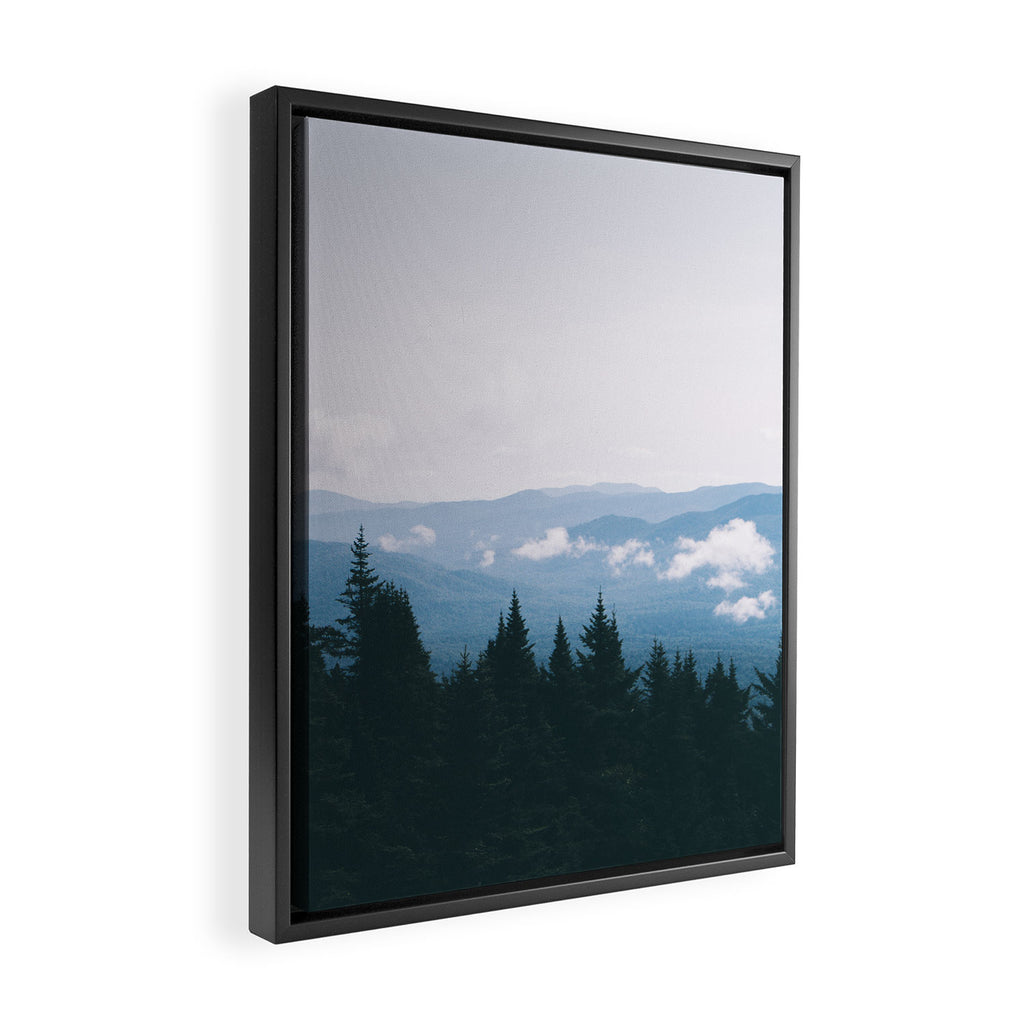 Forest VII Framed Canvas Print Gallery Image 2