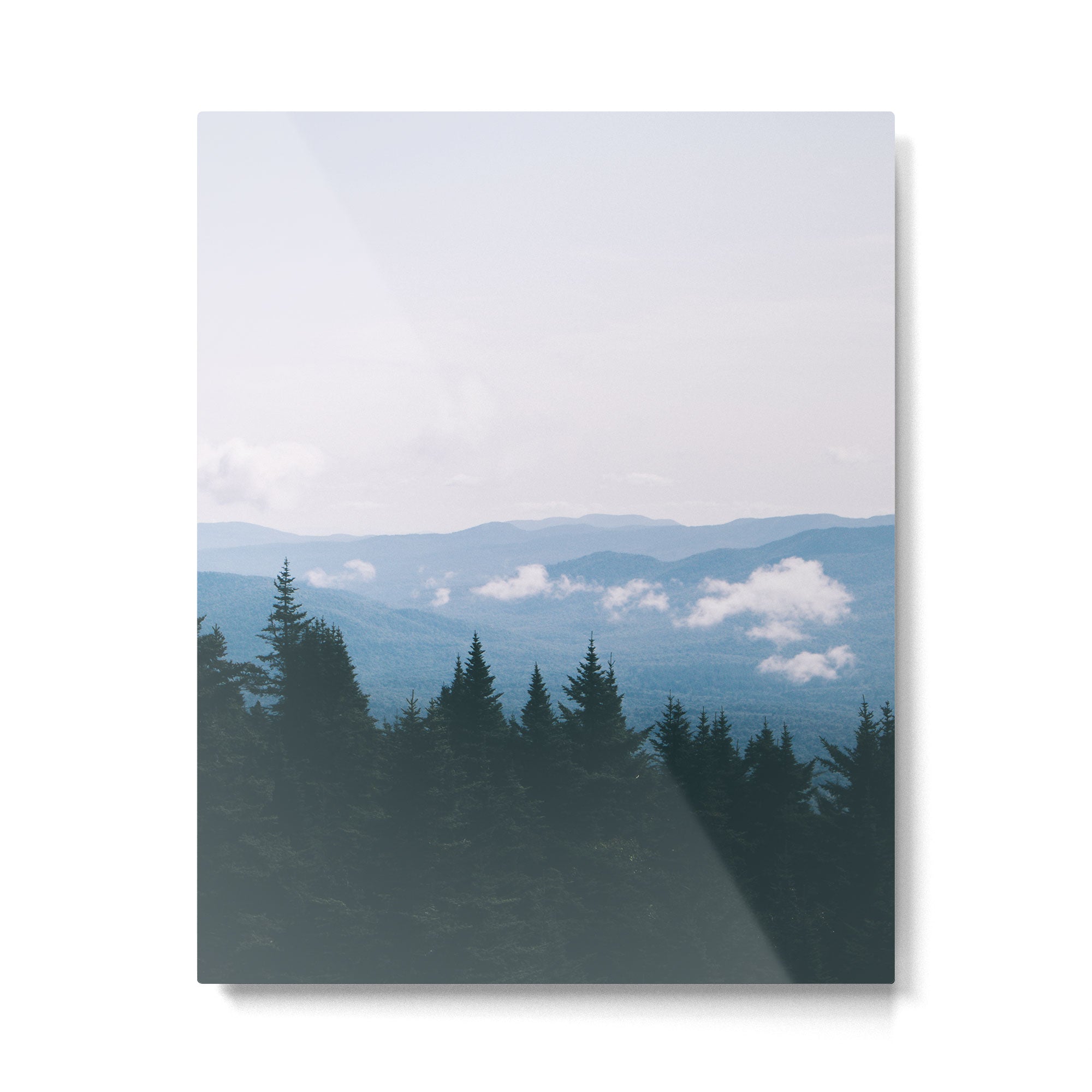 Forest VII Metal Print Gallery Image 4