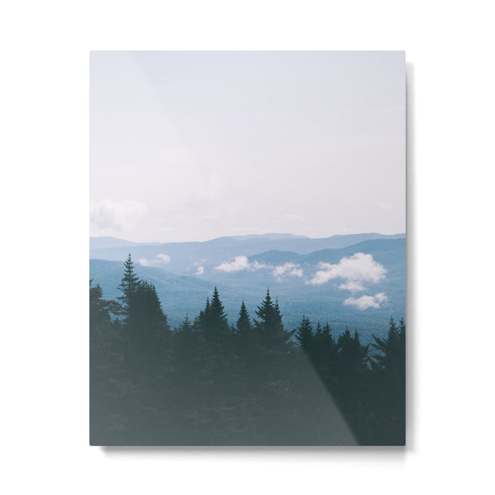 Forest VII Metal Print Gallery Image 1