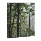 Forest VIII Canvas Print Gallery Image 6