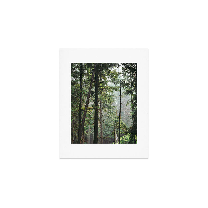 Forest VIII Art Print Gallery Image 1