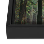 Forest VIII Framed Canvas Print Gallery Image 3