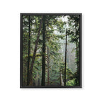 Forest VIII Framed Canvas Print Gallery Image 6