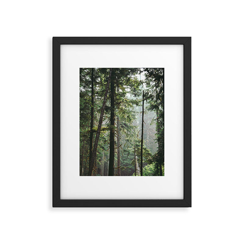 Forest VIII Framed Art Print Gallery Image 5