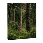 Green Forest Canvas Print Gallery Image 6