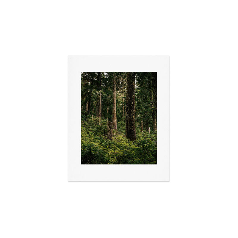 Green Forest Art Print Gallery Image 1