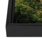 Green Forest Framed Canvas Print Gallery Image 3