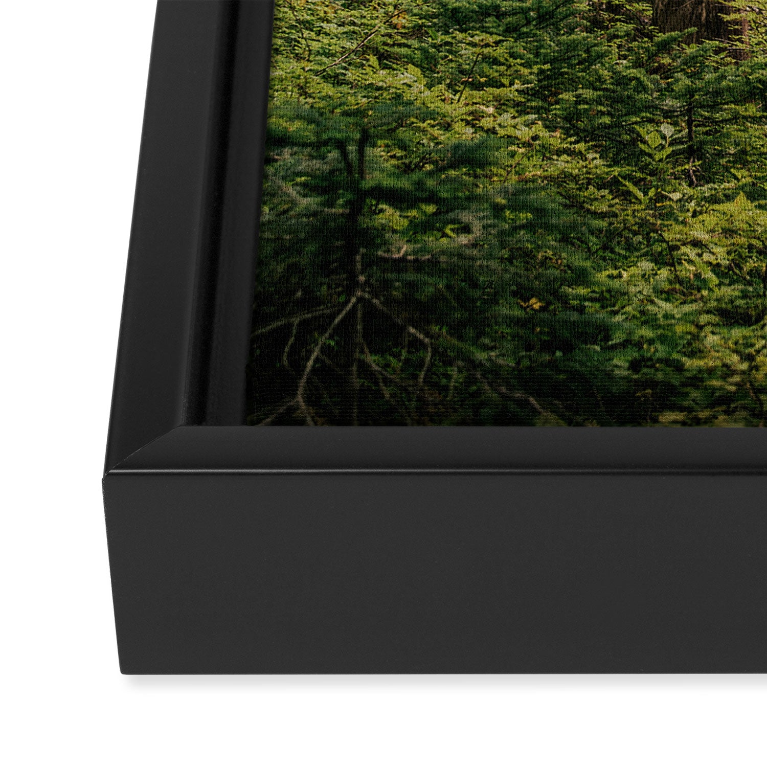 Green Forest Framed Canvas Print Gallery Image 3