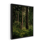 Green Forest Framed Canvas Print Gallery Image 2