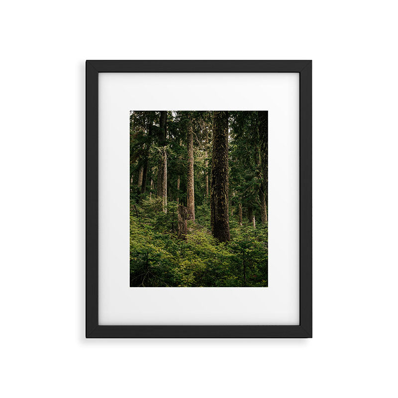 Green Forest Framed Art Print Gallery Image 5