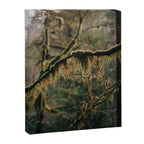 Hanging Moss Canvas Print Gallery Image 6