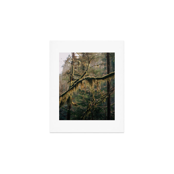 Hanging Moss Art Print Gallery Image 1