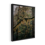 Hanging Moss Framed Canvas Print Gallery Image 2