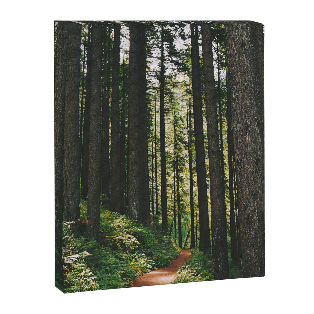 Happy Trails Canvas Print Gallery Image 6