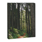 Happy Trails Canvas Print Gallery Image 6