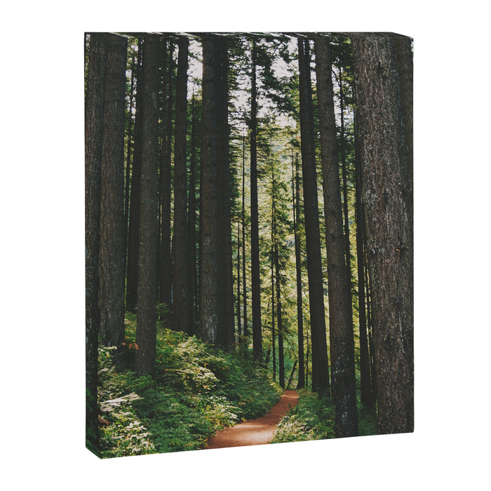Happy Trails Canvas Print Gallery Image 1