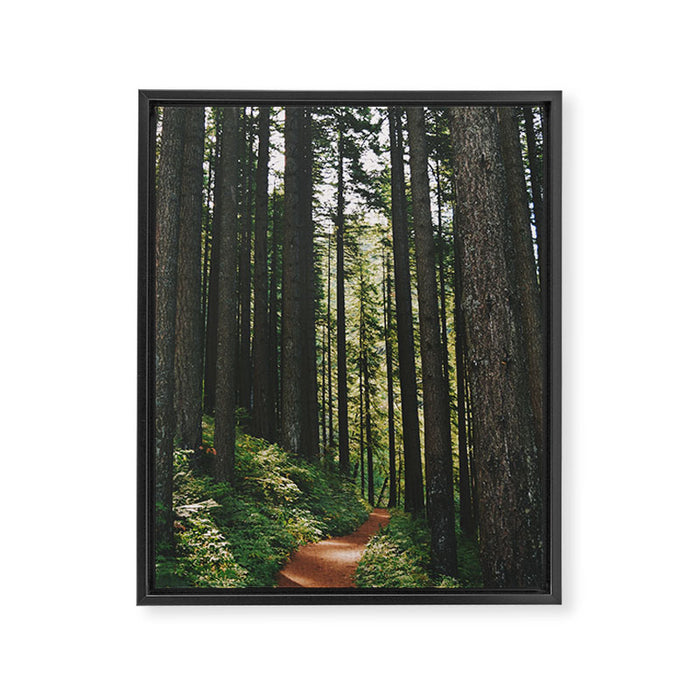 Happy Trails Framed Canvas Print Gallery Image 1