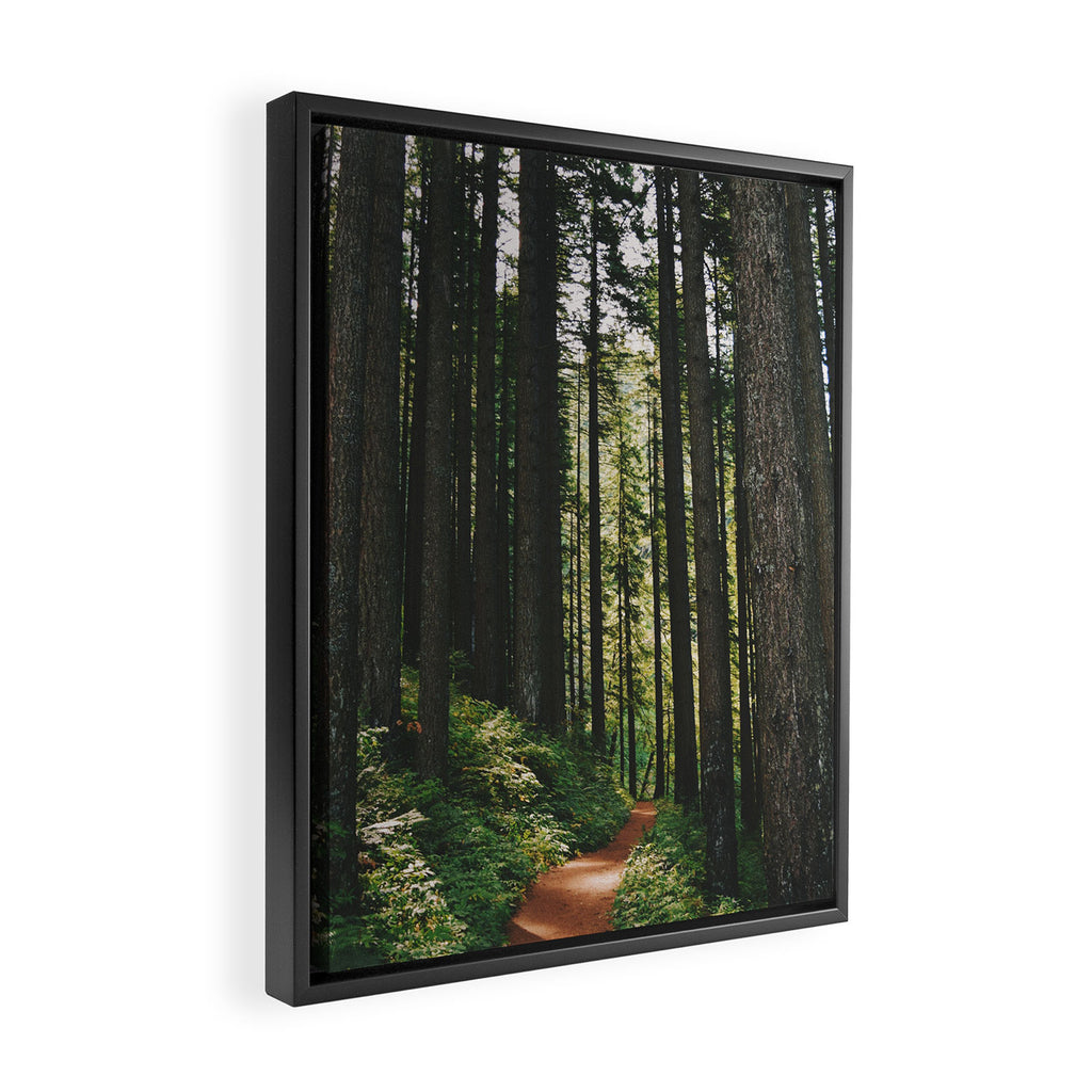 Happy Trails Framed Canvas Print Gallery Image 2