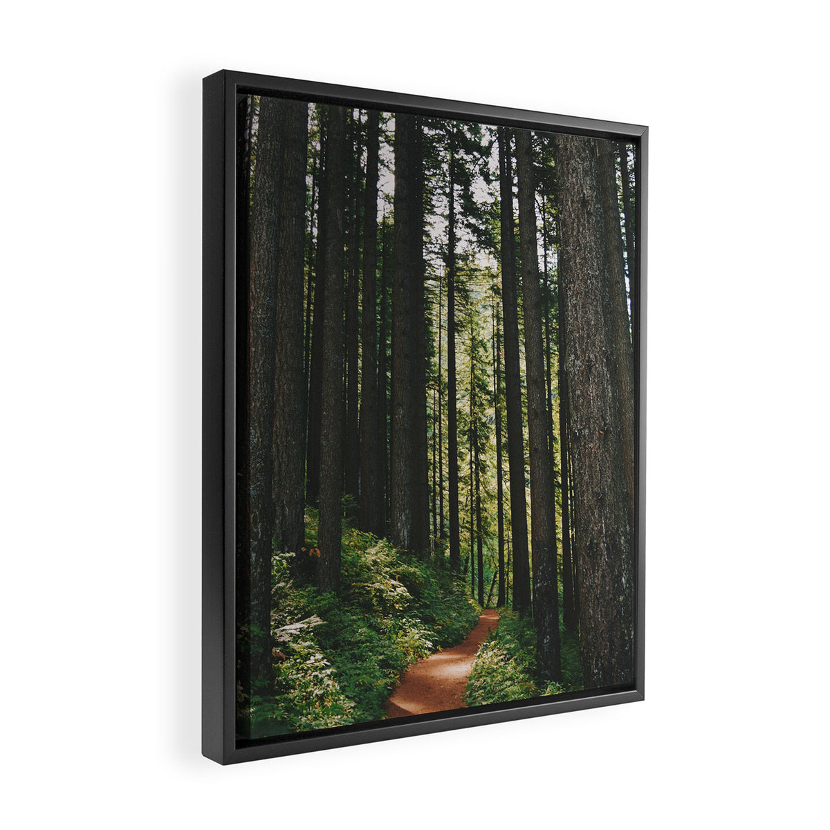 Happy Trails Framed Canvas Print Gallery Image 2