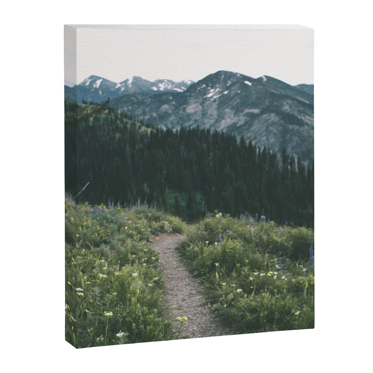 Happy Trails II Canvas Print Gallery Image 6