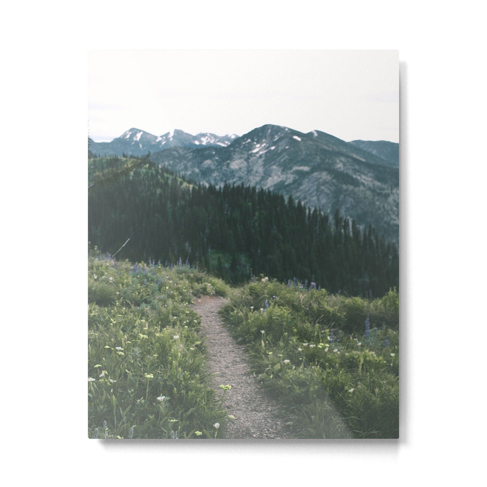 Happy Trails II Metal Print Gallery Image 4