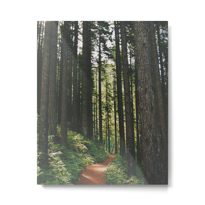 Happy Trails Metal Print Gallery Image 1