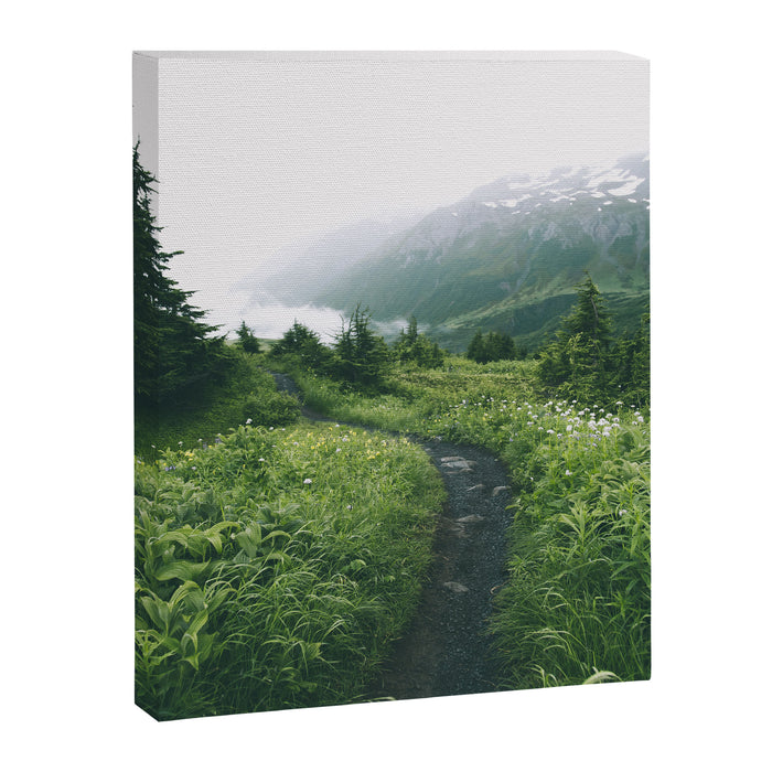 Happy Trails III Canvas Print Gallery Image 1