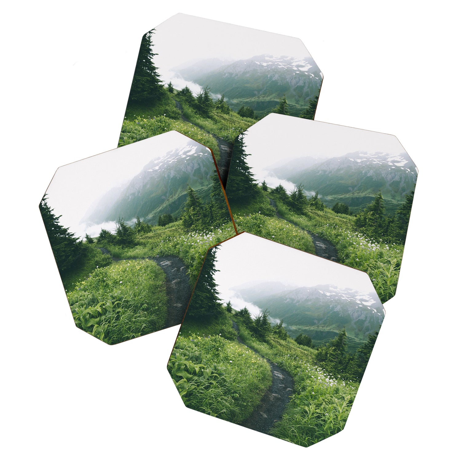 Happy Trails III Coaster Gallery Image 1