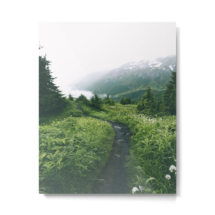 Happy Trails III Metal Print Gallery Image 1