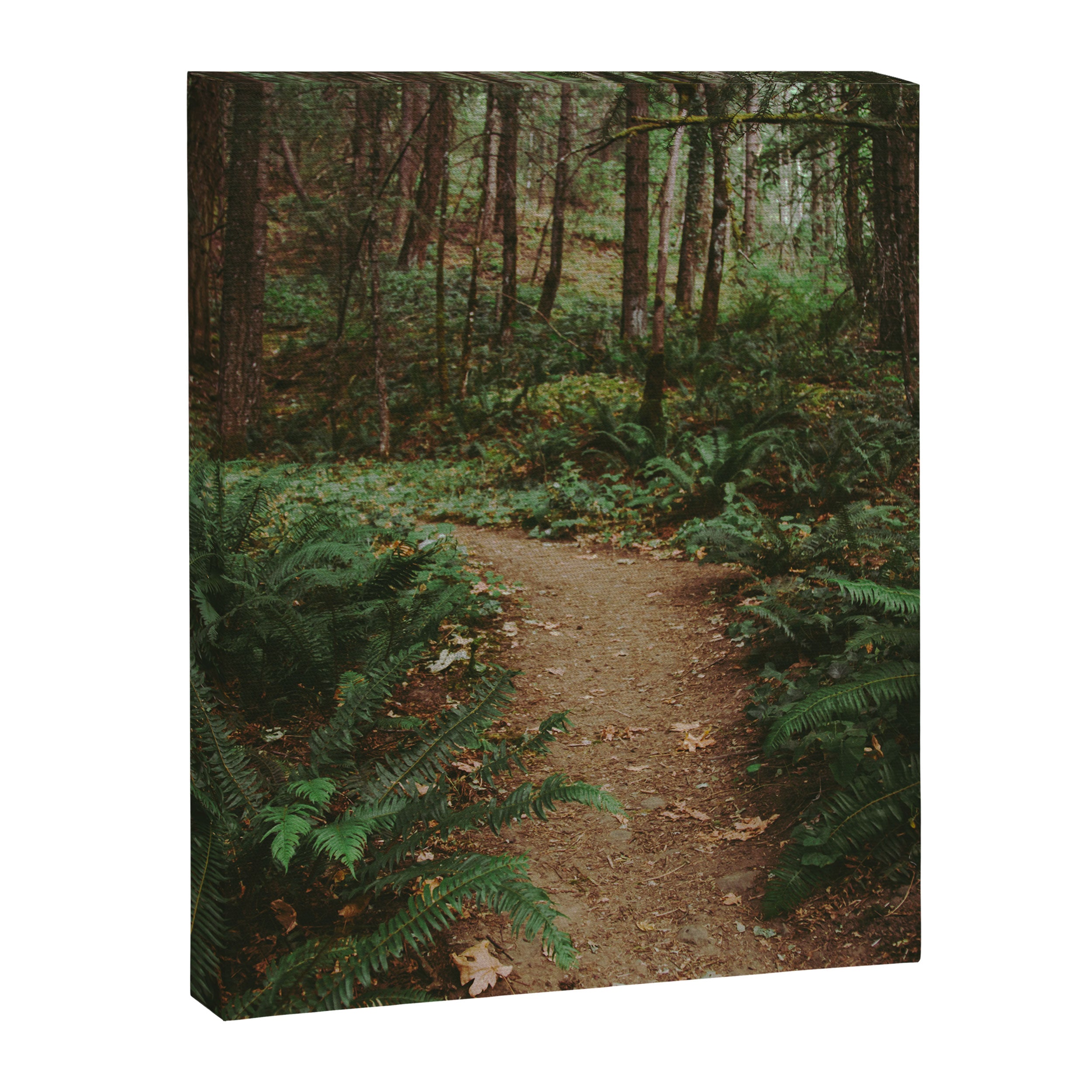 Happy Trails IV Canvas Print Gallery Image 6