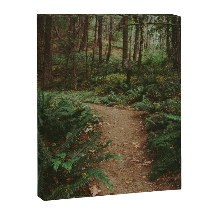 Happy Trails IV Canvas Print Gallery Image 1