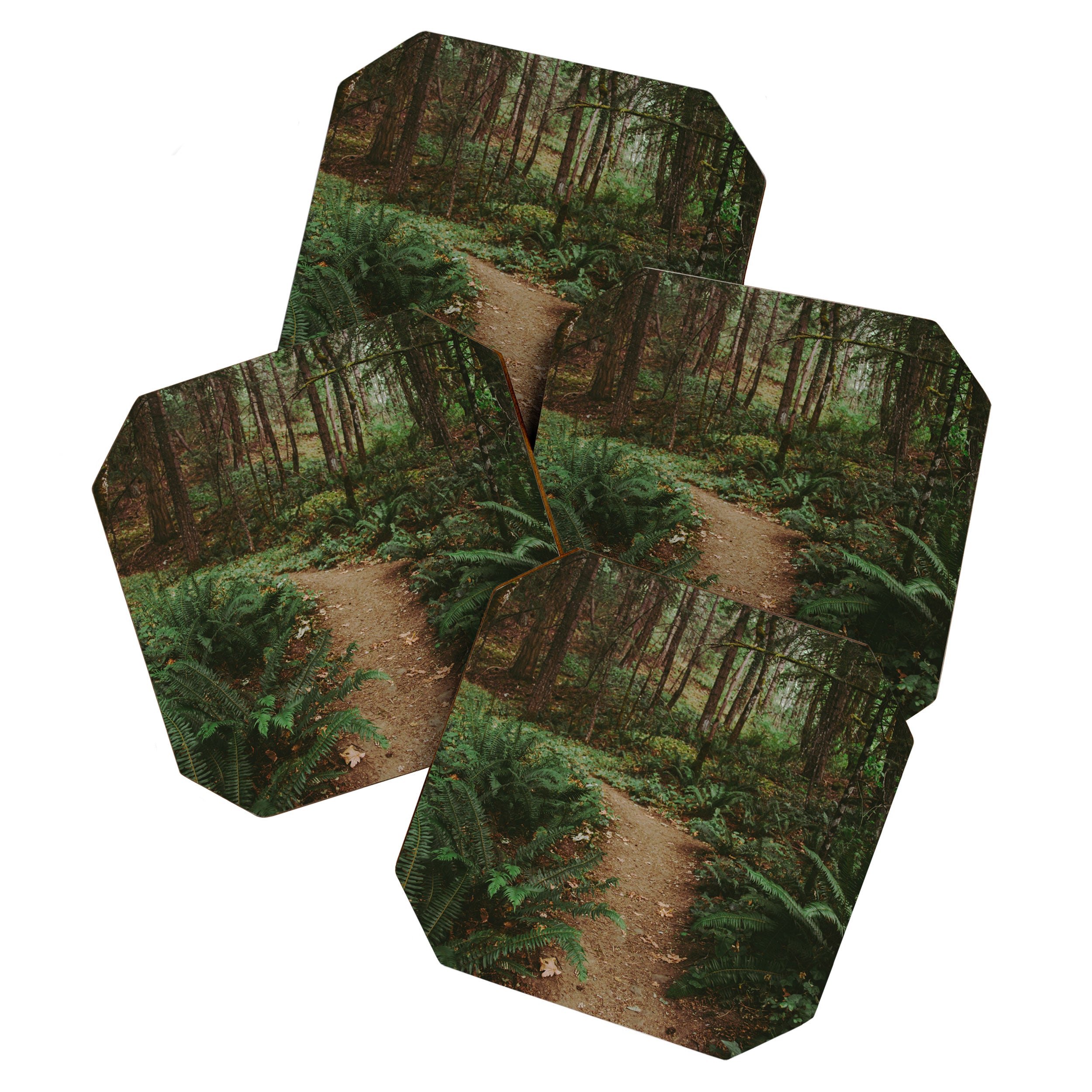 Happy Trails IV Coaster Gallery Image 1