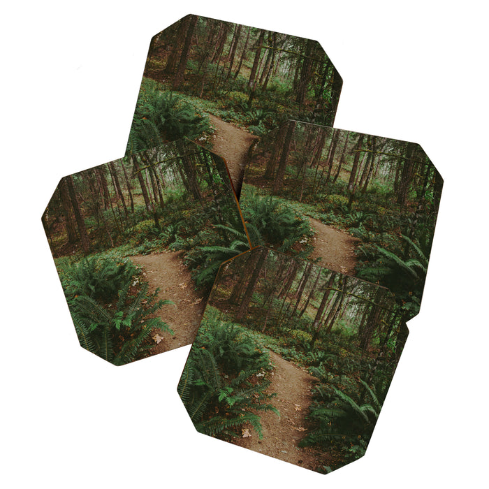 Happy Trails IV Coaster Gallery Image 1